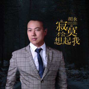 寂寞才会想起我 (DJ何鹏版伴奏)