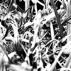 FUNCTION (feat. MRE & Sleepy The Architect|Explicit)