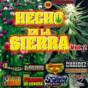 Hecho en la Sierra, Vol. 2