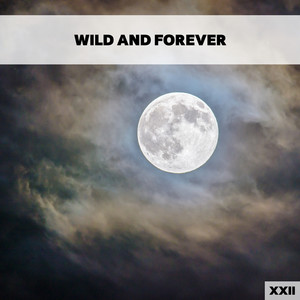 Wild And Forever XXII