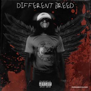 Different Breed (Explicit)