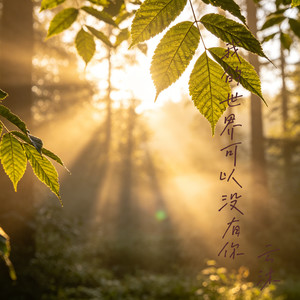 我的世界可以没有你 (伴奏)
