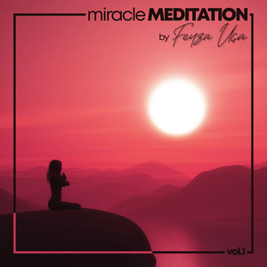 Miracle Meditation, Vol. 1