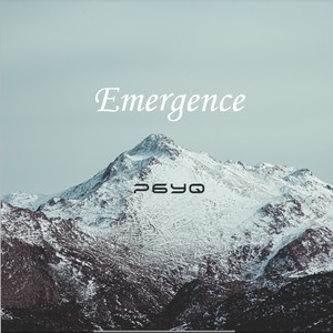 Emergence