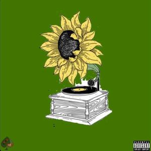 DaSunFlower (Explicit)