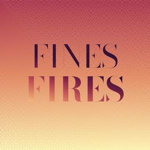Fines Fires