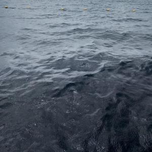 Ola de trap (Explicit)