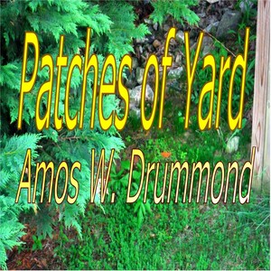 Patches of Yard