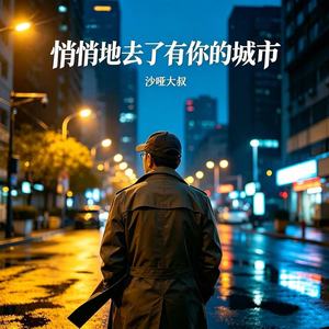 悄悄地去了有你的城市 (男声版)