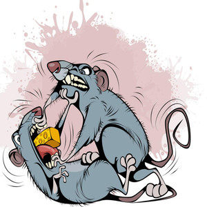 Сырок (Explicit)