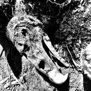 WizxyOut (feat. Victor Jovan) (Explicit)