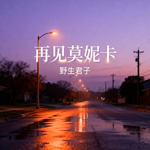 再见莫妮卡 - 野生君子封面