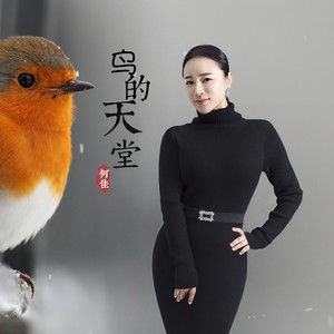 鸟的天堂 (伴奏)