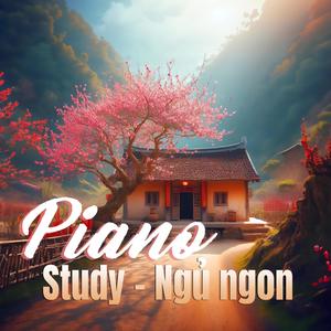 Piano Study Ngu ngon