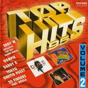 Top Hits 95, Volume 2