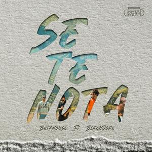 Se Te Nota (feat. Black Dope)