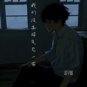 我们没来得及见一面