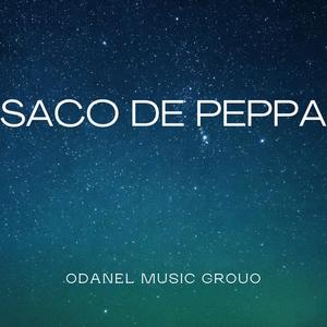 SACO DE PEPPA