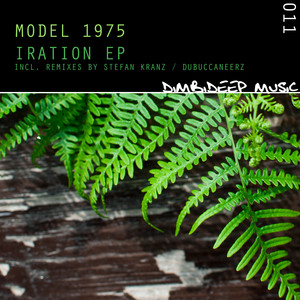 Iration (Stefan Kranz Remix)