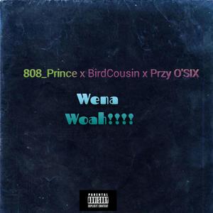 Wena Woah (feat. BirdCousin & Przy O'six)