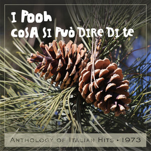 Cosa si può dire di te (Anthology of Italian Hits 1973)
