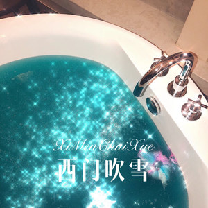 老了兄弟 (DJ版)