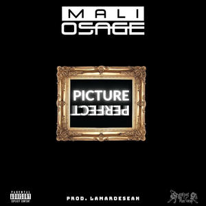 Picture Perfect (Explicit)