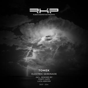 Electric Serenade (Luca Abayan Remix)