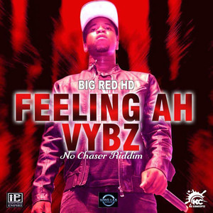 Feeling Ah Vybz (No Chaser Riddim)