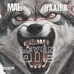 Leven die (feat. Haaier) [Explicit]