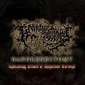 Unleashing Echoes Of Iniquitous Torment (Explicit)