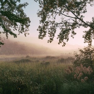 Winter / Fog / Morning