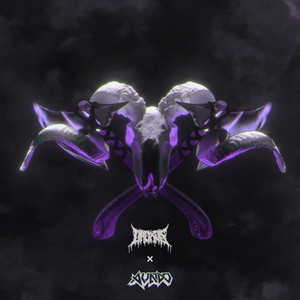 I.W.S.D.I.T.F. (I Won't Stare Death in the Face) (Explicit)