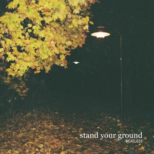 Stand Your Ground