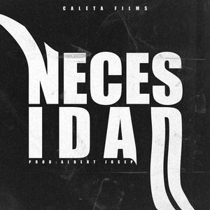 Necesidad