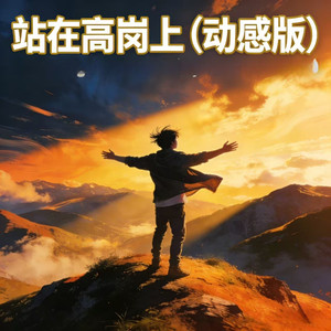 站在高岗上 (动感版)封面