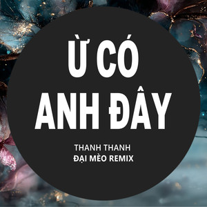 Ừ Có Anh Đây (Beat Đại Mèo Remix)