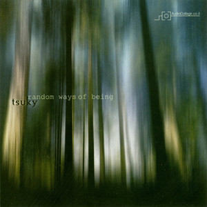 Purifying Hallucination