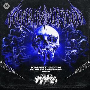 Harm Reduction (feat. Mr. $elf Destruct) (Explicit)