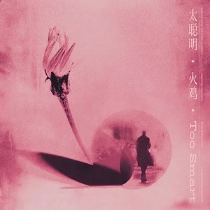 太聪明 (Single Version)