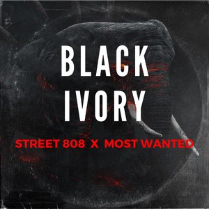 Black Ivory (Explicit)