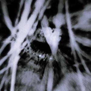 Deep (feat. Fastime) (Explicit)