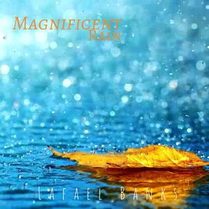 Magnificent Rain