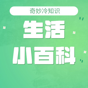 费马大定理36.世纪演讲 (DJ长音频) - 初见音乐吧封面