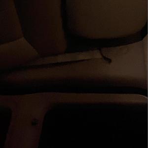 we can be ghosts (feat. notcursed) (Explicit)