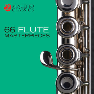 Schubert: Quartet for Flute, Guitar, Viola & Cello, D. 96: V. Tema con variazioni: