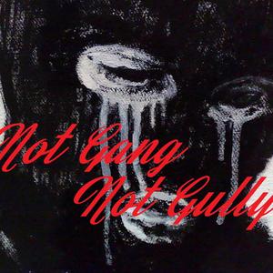 Not Gang Not Gully (Explicit)