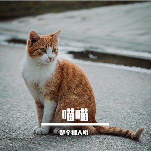 喵喵
