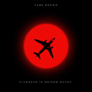 Flugzeug in Meinem Bauch