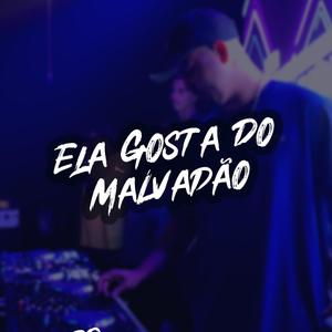 ELA GOSTA DO MALVADÃO (Explicit)